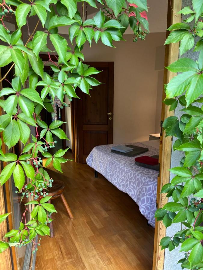 Chalet Blanc "Le Flocon" Курмайор Екстериор снимка